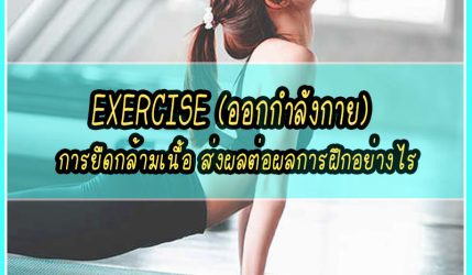 Exercise (ออกกำลังกาย) การยืดกล้ามเนื้อ ส่งผลต่อผลการฝึกอย่างไร